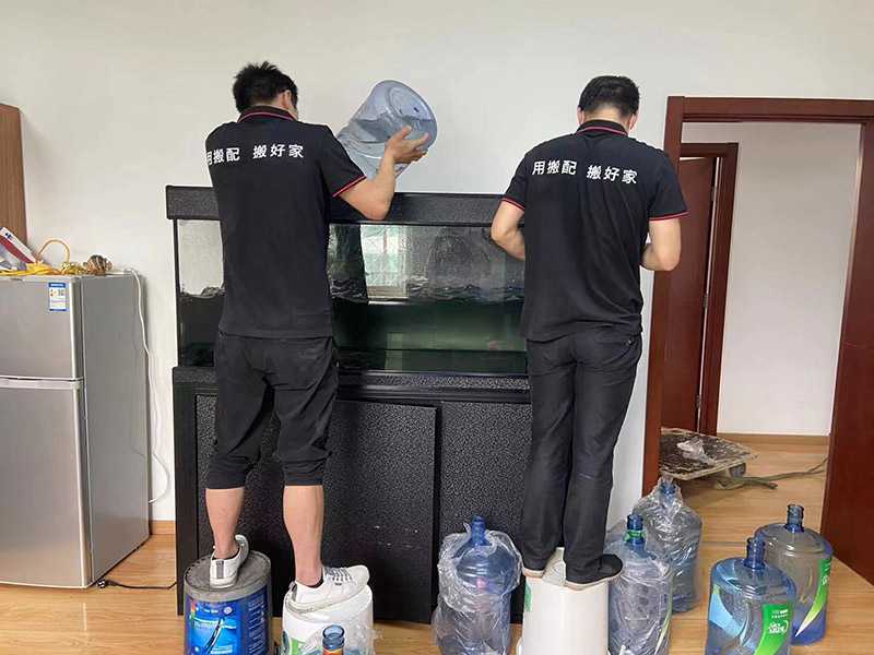 运输易碎物品怎么搬